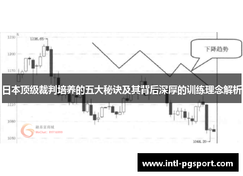日本顶级裁判培养的五大秘诀及其背后深厚的训练理念解析