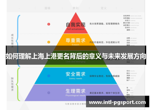 如何理解上海上港更名背后的意义与未来发展方向