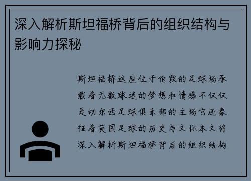 深入解析斯坦福桥背后的组织结构与影响力探秘