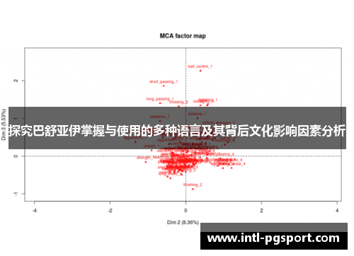 探究巴舒亚伊掌握与使用的多种语言及其背后文化影响因素分析 探究巴舒亚伊掌握与使用的多种语言及其背后文化影响因素分析
