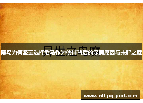 魔鸟为何坚定选择老马作为伙伴背后的深层原因与未解之谜