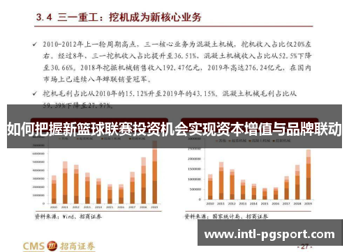 如何把握新篮球联赛投资机会实现资本增值与品牌联动