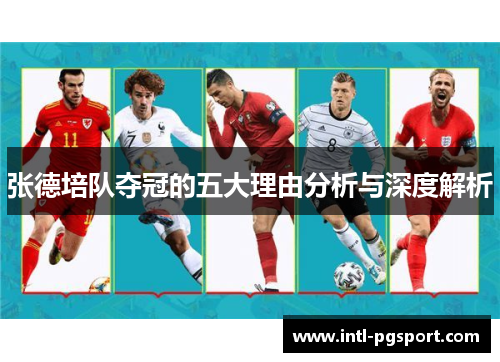 张德培队夺冠的五大理由分析与深度解析