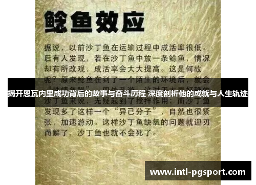 揭开恩瓦内里成功背后的故事与奋斗历程 深度剖析他的成就与人生轨迹
